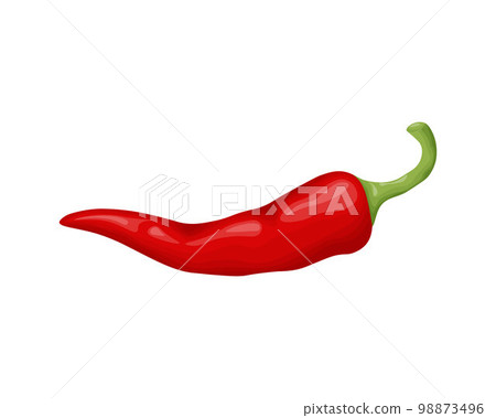 Chili pepper. Red hot pepper. Vegetable garden. Fire pepper. Vector illustration isolated on a white background 98873496