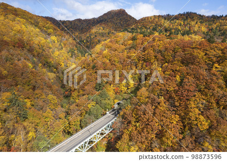 北海道的Sadayamakei大壩周圍的秋葉（鳥瞰圖） 98873596