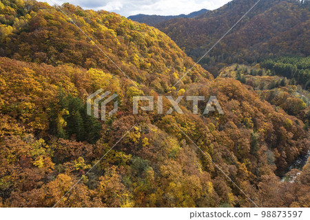 北海道的Sadayamakei大壩周圍的秋葉（鳥瞰圖） 98873597
