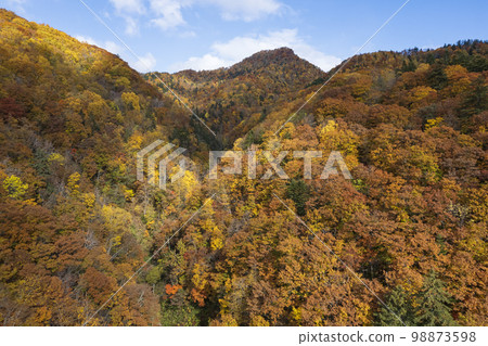 北海道的Sadayamakei大壩周圍的秋葉（鳥瞰圖） 98873598