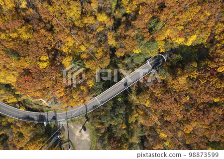 北海道定山溪水壩周圍的道路和紅葉（鳥瞰圖，真實鳥瞰圖） 98873599