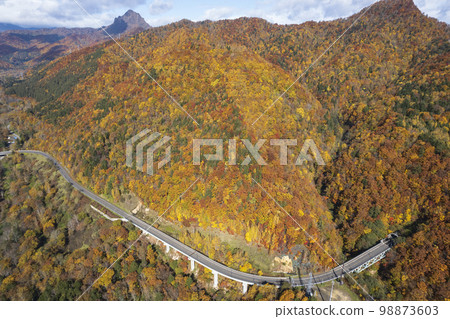 北海道的Sadayamakei大壩周圍的秋葉(鳥瞰圖) 北海道的Sadayamakei大壩周圍的秋葉(鳥瞰圖) 98873603