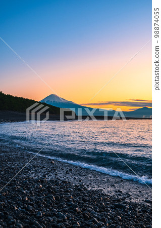 從三保松原看到的富士(黎明) 從三保松原看到的富士(黎明) 98874055