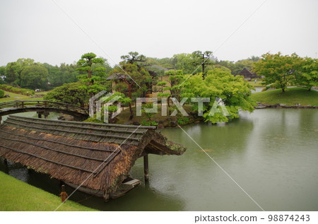 新鮮的綠色岡山後樂園 98874243