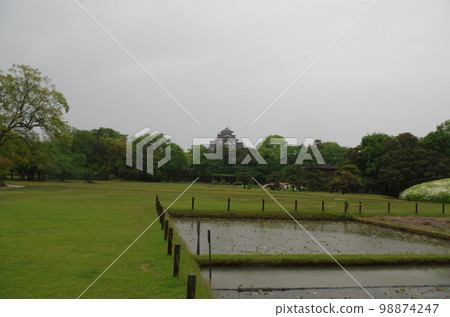 從綠意盎然的岡山後樂園井田附近眺望岡山城 從綠意盎然的岡山後樂園井田附近眺望岡山城 98874247