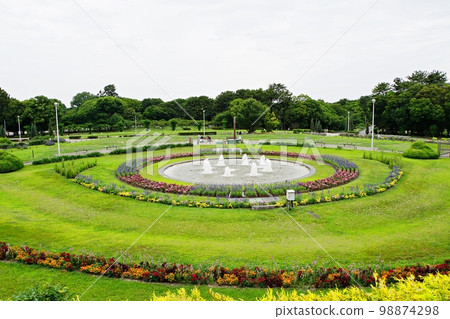 Osaka Toyonaka Hattori Ryokuchi Park round flower bed (rainy season) 98874298