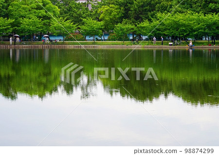 大阪豐中服部綠地公園山池和垂釣者（雨季） 98874299