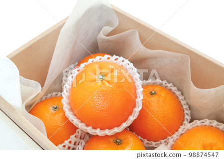 Iyokan in a box [white background] 98874547