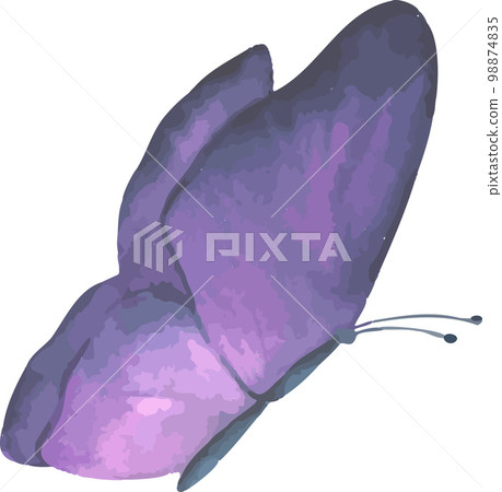 A collection of watercolour butterflies, scalable vector drawings A collection of watercolour butterflies, scalable vector drawings 98874835