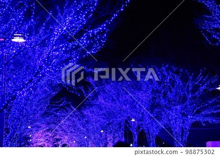 Illumination Blue Grotto in Shibuya, Tokyo Illumination Blue Grotto in Shibuya, Tokyo 98875302