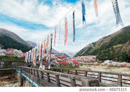 Achi Village, Nagano Tsukikawa Onsen, a superb view of Hanamomo no Sato 98875315