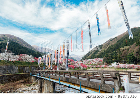 Achi Village, Nagano Tsukikawa Onsen, a superb view of Hanamomo no Sato 98875316