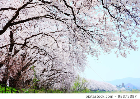 Sakado Express様 Sakura Express, 760 E Fort Union Blvd, Midvale, UT 84047, US