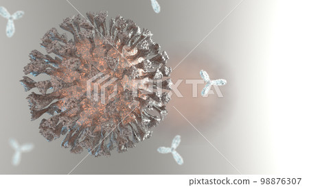 Virus attacked by Immunoglobulin G antibodies 3d rendered illustration Virus attacked by Immunoglobulin G antibodies 3d rendered illustration 98876307