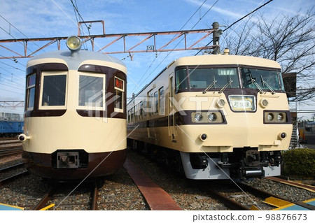 Series 52 and Series 117 trains lined up at the depot 98876673