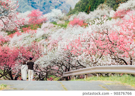 Achi Village, Nagano Tsukikawa Onsen, beautiful views of Hanamomo no Sato and couples 98876766