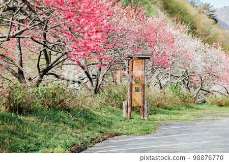 Achi Village, Nagano Tsukikawa Onsen, a superb view of Hanamomo no Sato Achi Village, Nagano Tsukikawa Onsen, a superb view of Hanamomo no Sato 98876770