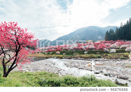 Achi Village, Nagano Tsukikawa Onsen, a superb view of Hanamomo no Sato 98876886