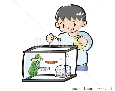Boy taking care of medaka (feeding) 98877201