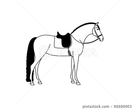 Black and white vector of a horse ready for training 98880003