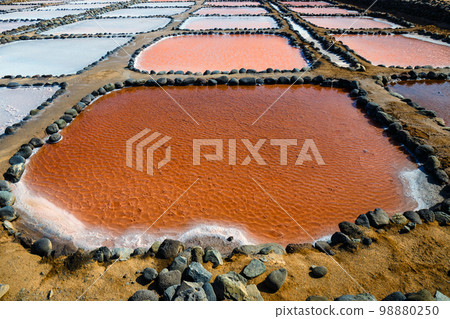 Gran Canaria, Salinas de Tenefe salt evaporation ponds, southeastern part of the island, pink color created by Dunaliella salina algae 98880250