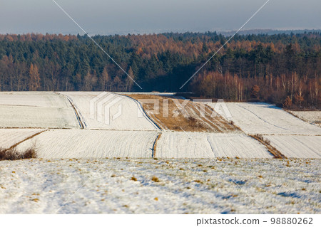 snow covering the field during the winter 98880262