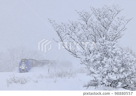 冒著暴風雪在宗谷本線行駛的“特快宗谷號” 98880557