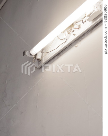 bare fluorescent light bare fluorescent light 98880906