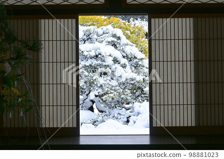京都市立岩倉妙萬寺雪庭園 98881023