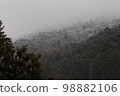 雪山 98882106