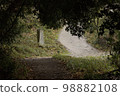 鄉下山路 98882108