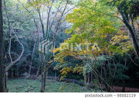Autumn, Tokyo, Hachioji City, Hachioji Castle Ruins Autumn, Tokyo, Hachioji City, Hachioji Castle Ruins 98882119