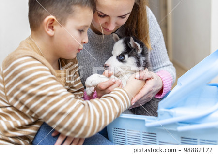 A little boy and his mother get out puppy from box at home 98882172