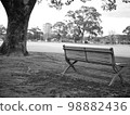 Park bench 98882436