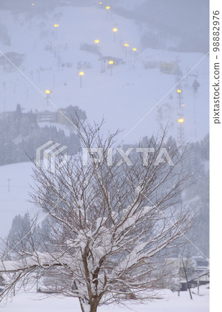 一棵樹和暮色之夜的滑雪勝地 一棵樹和暮色之夜的滑雪勝地 98882976