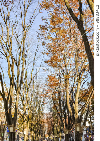 秋天的定善寺街 98883412