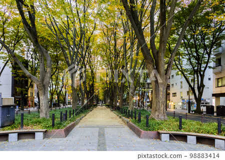 Jozenji Street Autumn 98883414