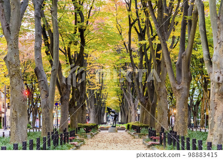 Jozenji Street Autumn 98883415