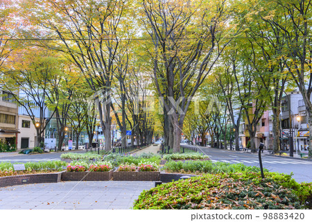 Jozenji Street Autumn 98883420