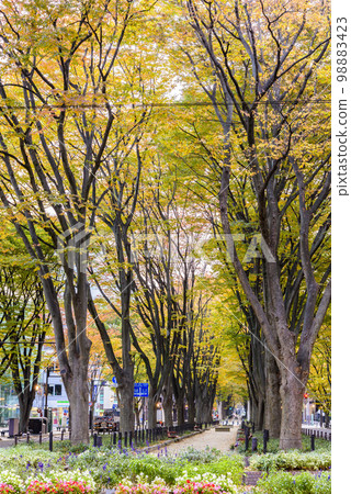 Jozenji Street Autumn 98883423