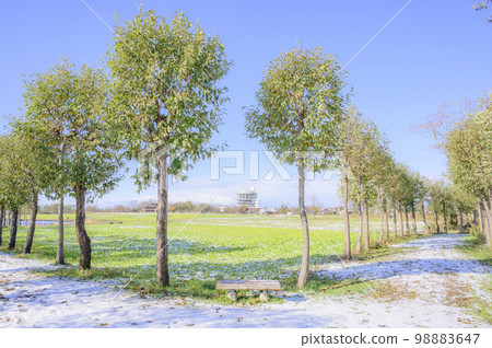 Niigata Fukushima Lagoon Rice Trees Scenery 98883647