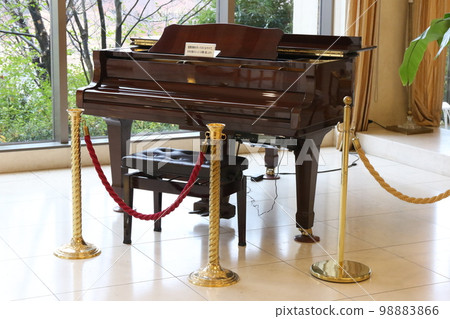 piano in hotel lobby 98883866
