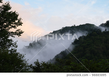 Twilight mountains wrapped in morning mist 98883895