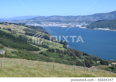 [New Zealand] Dunedin seen from the Otago Peninsula 98884347