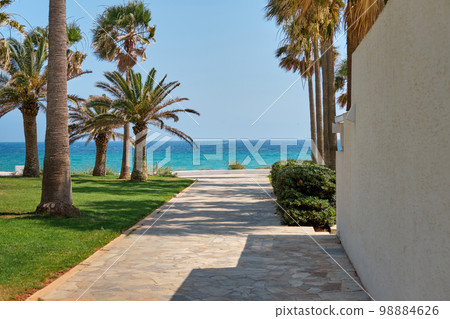 Path with palms leading to the beach of the azure mediterranean sea and surrounded by a beautiful nature of Cyprus. Ayia Napa. Path with palms leading to the beach of the azure mediterranean sea and surrounded by a beautiful nature of Cyprus. Ayia Napa. 98884626