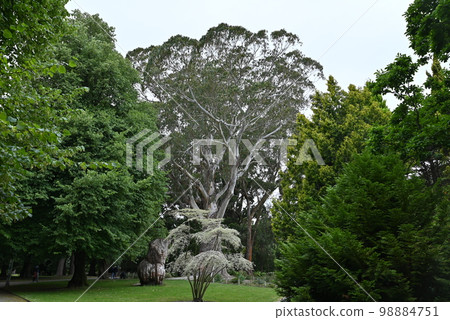 [New Zealand] Christchurch Botanic Gardens 98884751