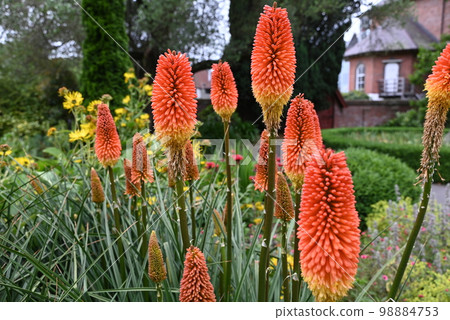[New Zealand] Christchurch Botanic Gardens 98884753