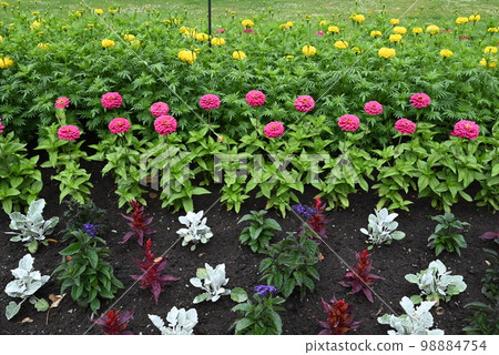 [New Zealand] Christchurch Botanic Gardens 98884754