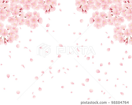 櫻花盛開和櫻花落下的插圖 98884764