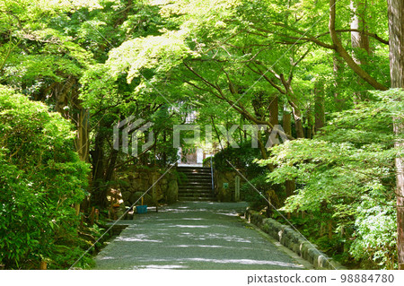 Kyoto Ryoan-ji Temple 98884780
